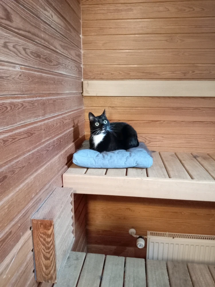 Image uploaded by Aleks