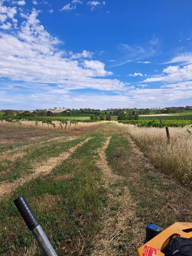 Image uploaded by Johnathon