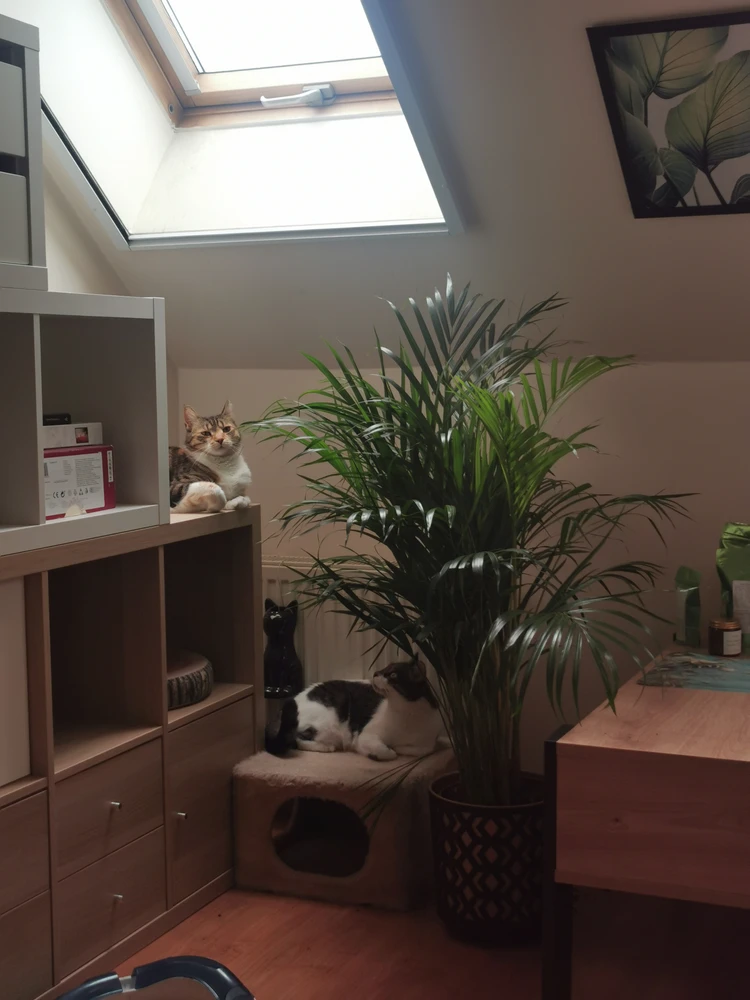 Zdjęcie dodane przez Em