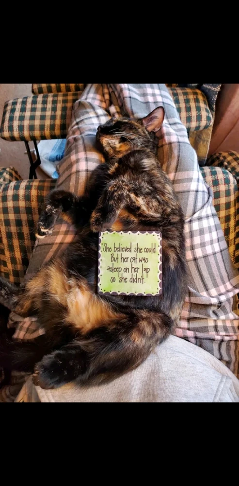 Image uploaded by Keith