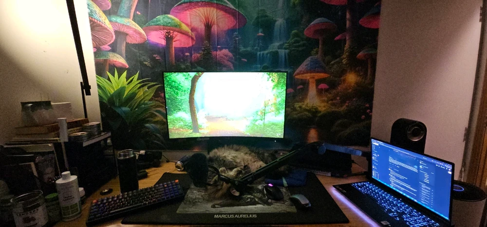 Image uploaded by Troy