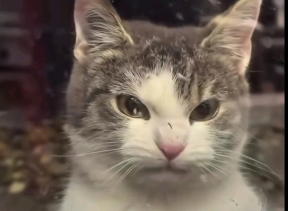 Image uploaded by Phoebe