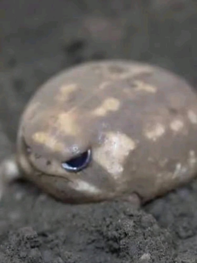 Image uploaded by Jeremiah