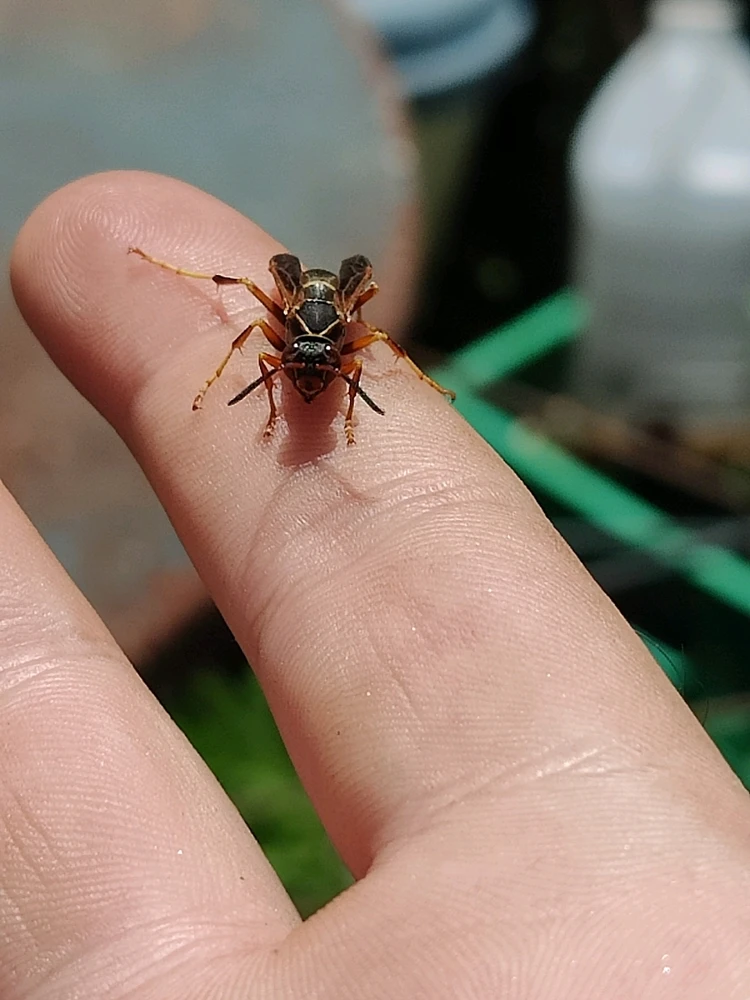 Image uploaded by Keegan