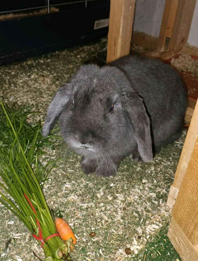 Bild hochgeladen von Marcel