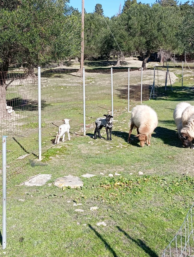 Εικόνα από Δημήτρης
