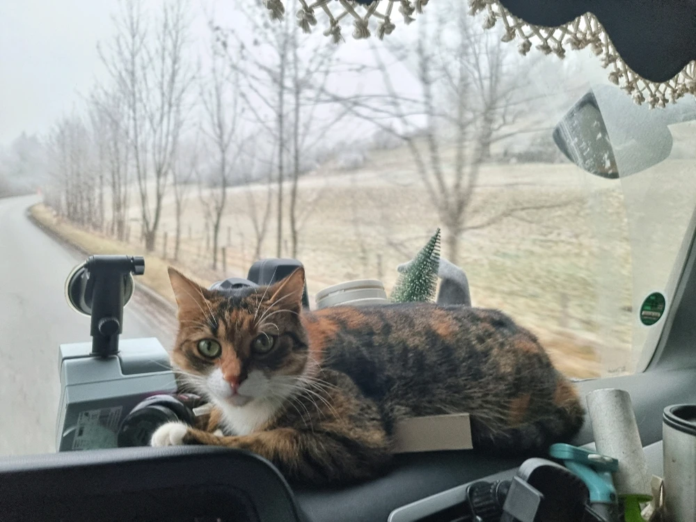 Image uploaded by Cristina