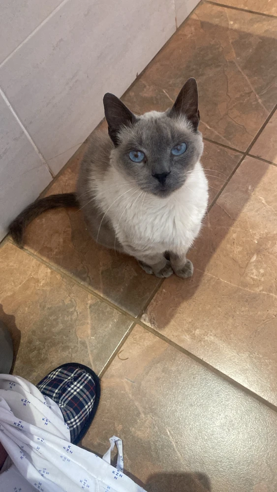 Image uploaded by Nitta