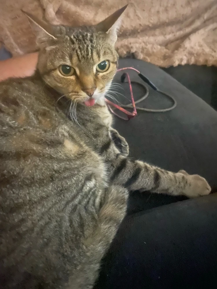 Image uploaded by Nitta