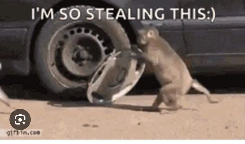 Image uploaded by Kaspars