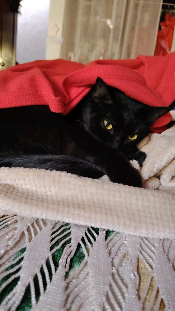 Imagen subida por Elías Arturo