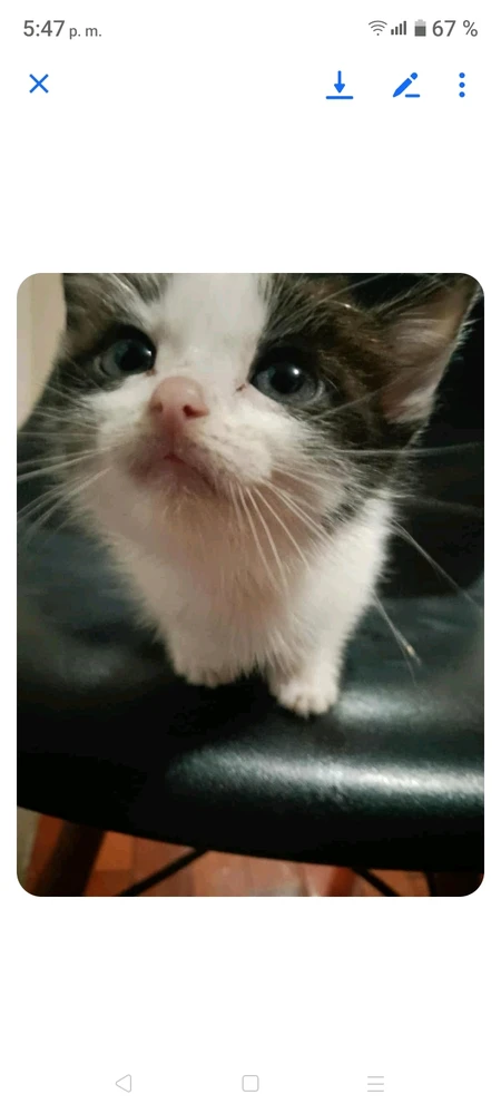 Imagen subida por Yosdamy Galban Liranza