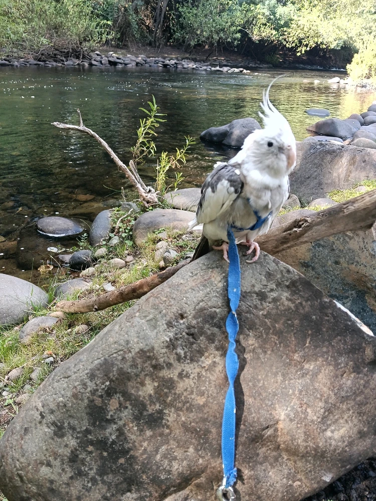 Imagen subida por eliiii