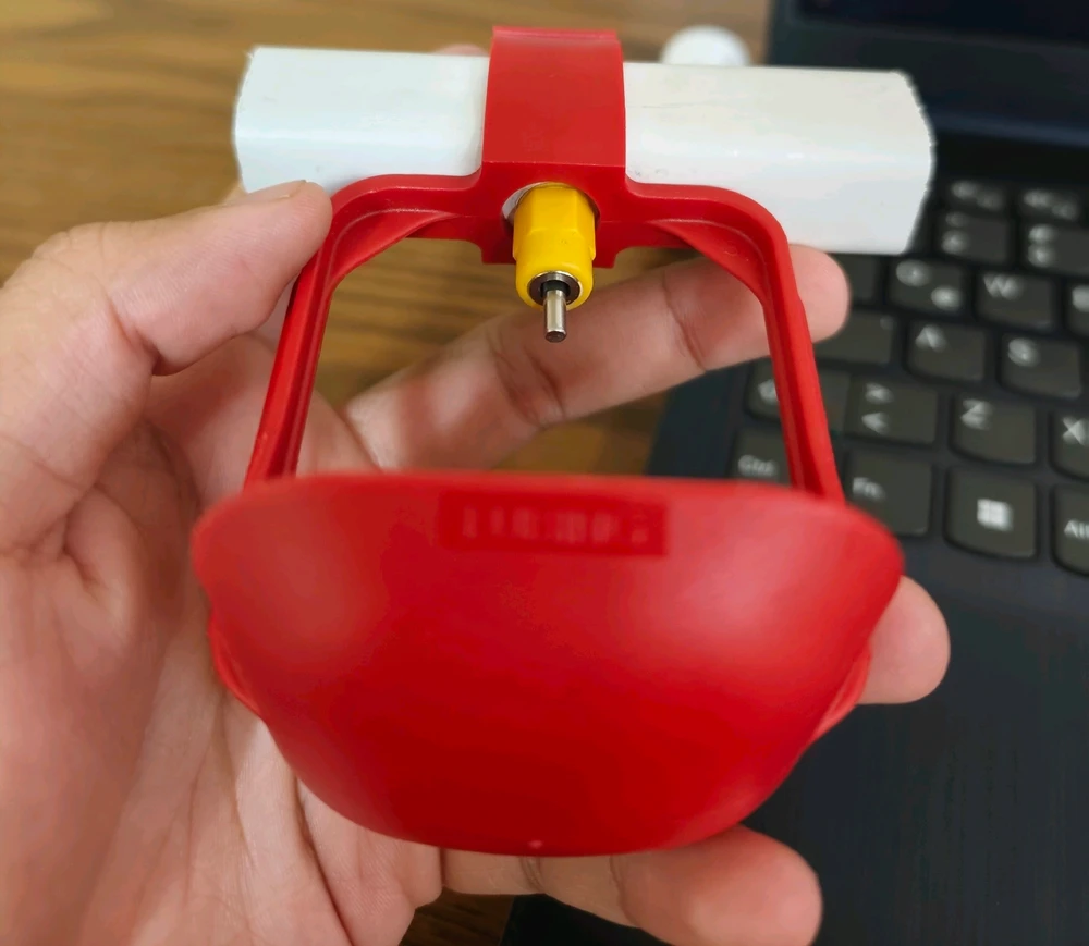 Imagen subida por AAA