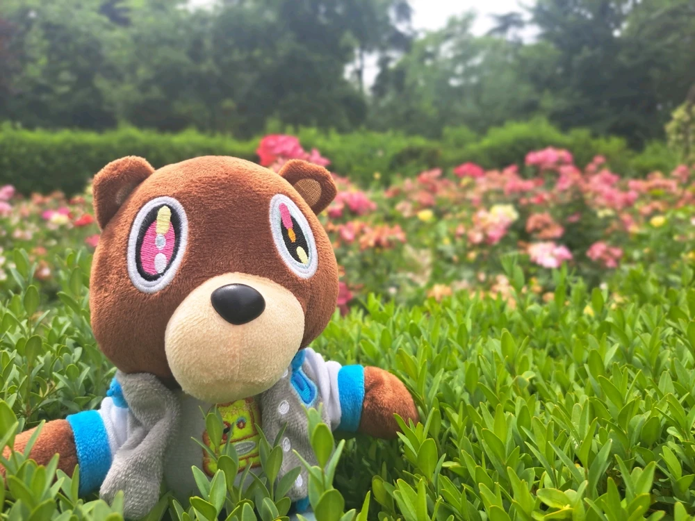 Imagen subida por Ignacio