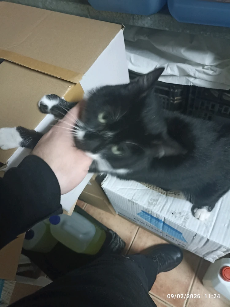 Imagen subida por Isaac Castillo