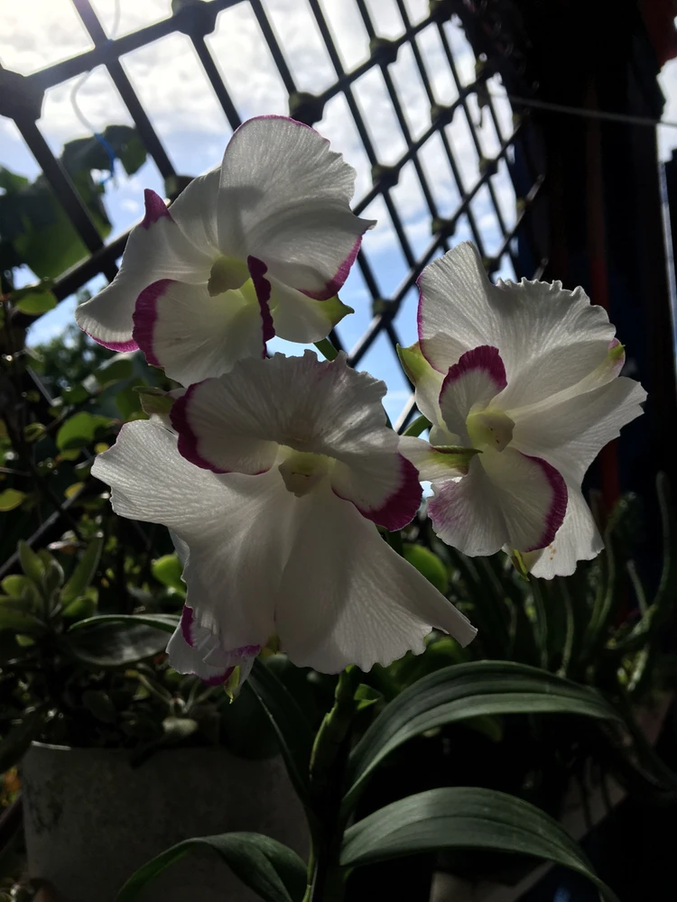 Imagen subida por Luna