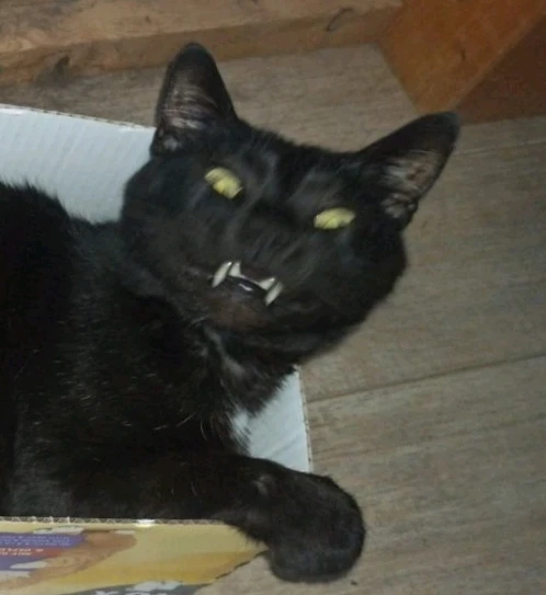 Immagine caricata da Matteo