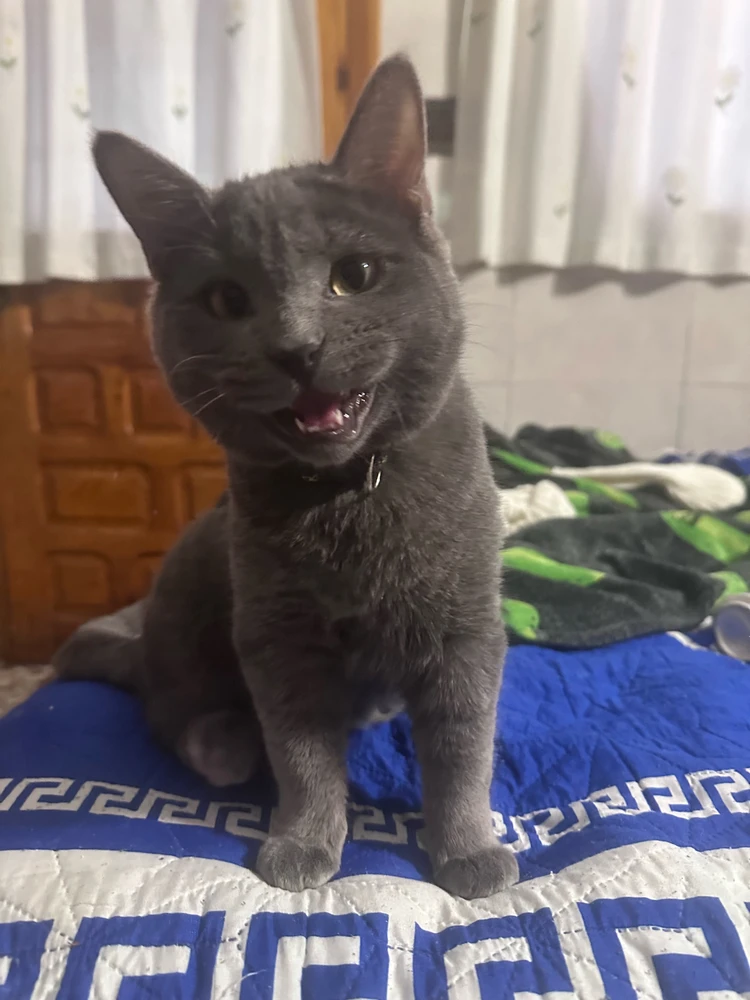 Imagen subida por Ad