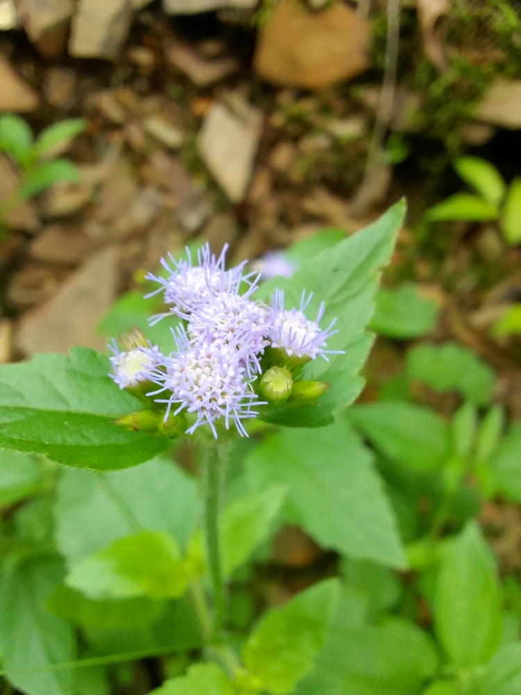 Imagen subida por Marina