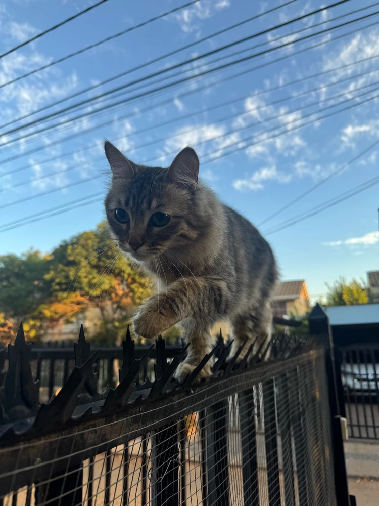 Imagen subida por Mauricio