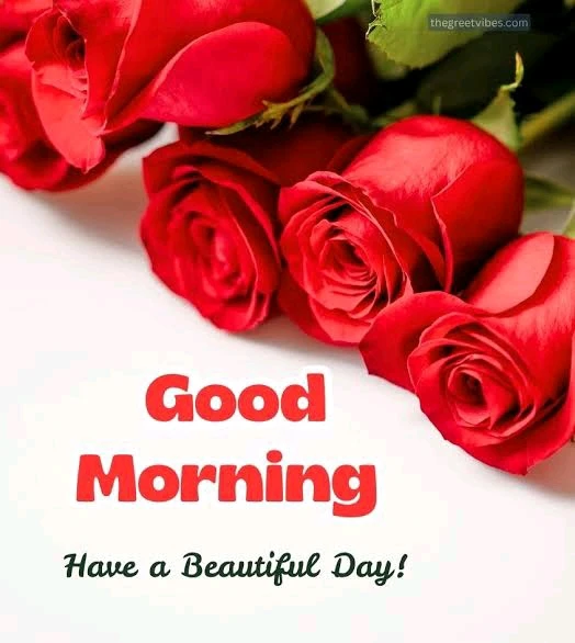 Image uploaded by Jeight