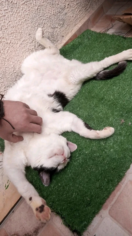 Image uploaded by Marko