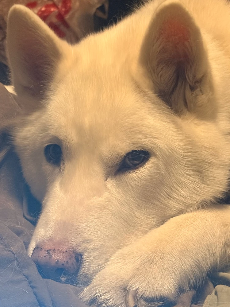 Image uploaded by Eli