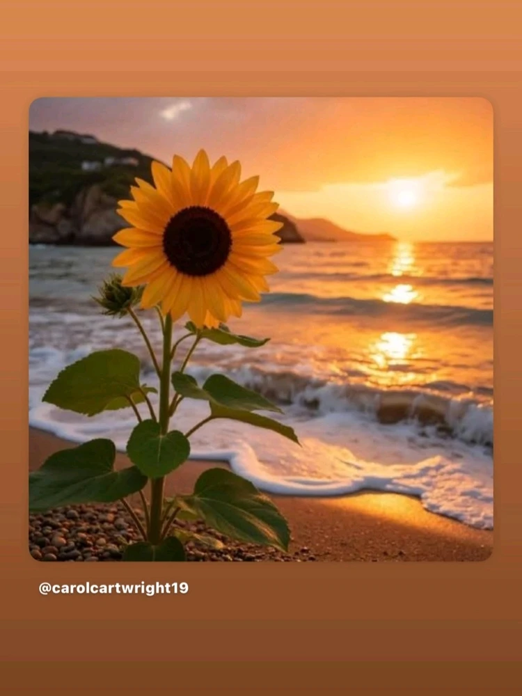 Image uploaded by Maili