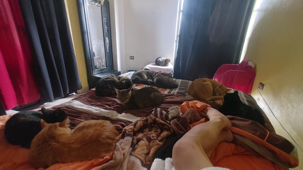 Image uploaded by ❤ Sophia aka Mango Mami ❤️