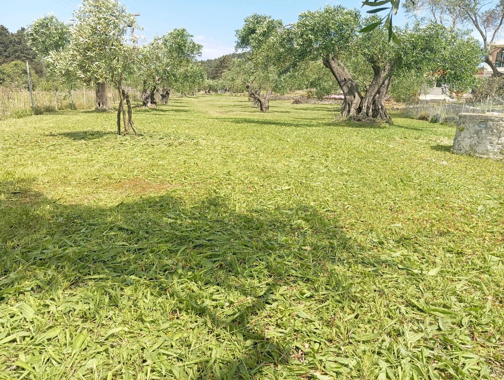 Image uploaded by Δημήτρης