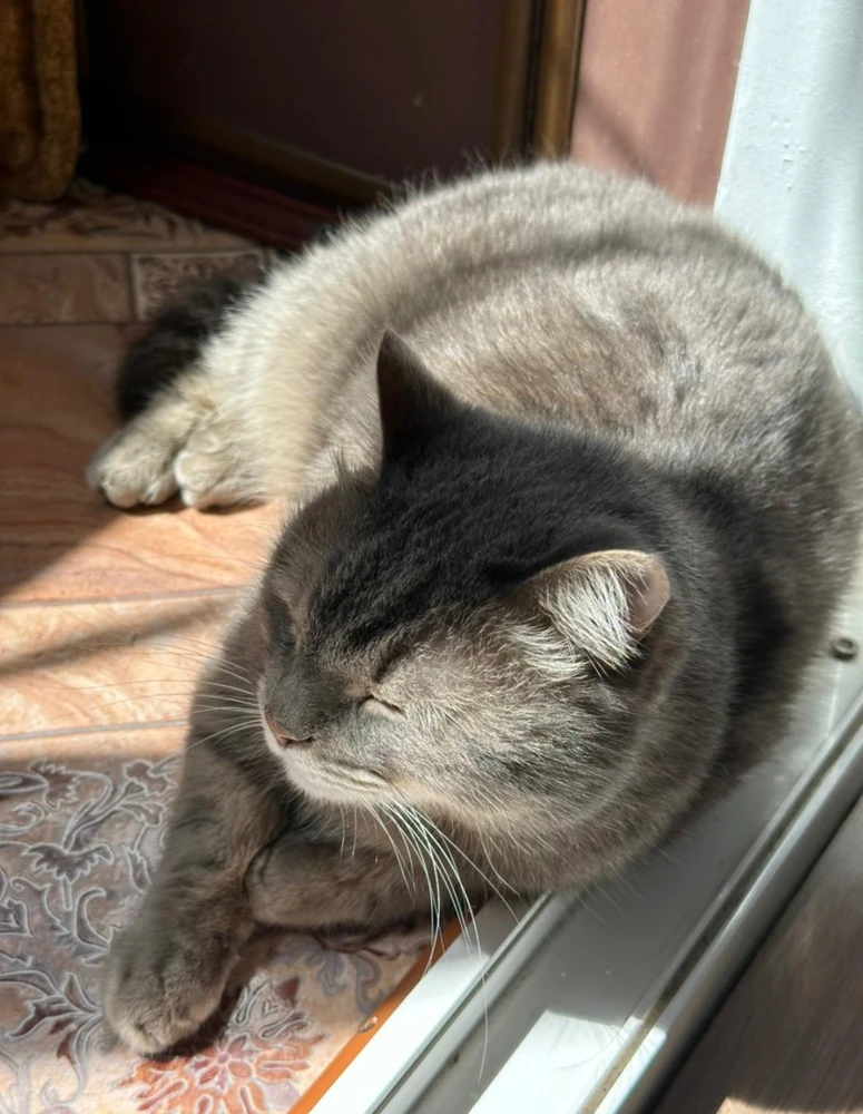 Image uploaded by Bun