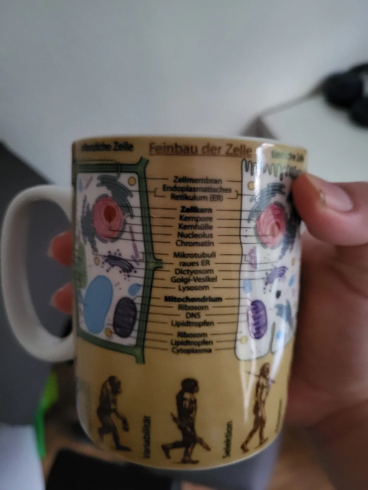 Bild hochgeladen von Jacek