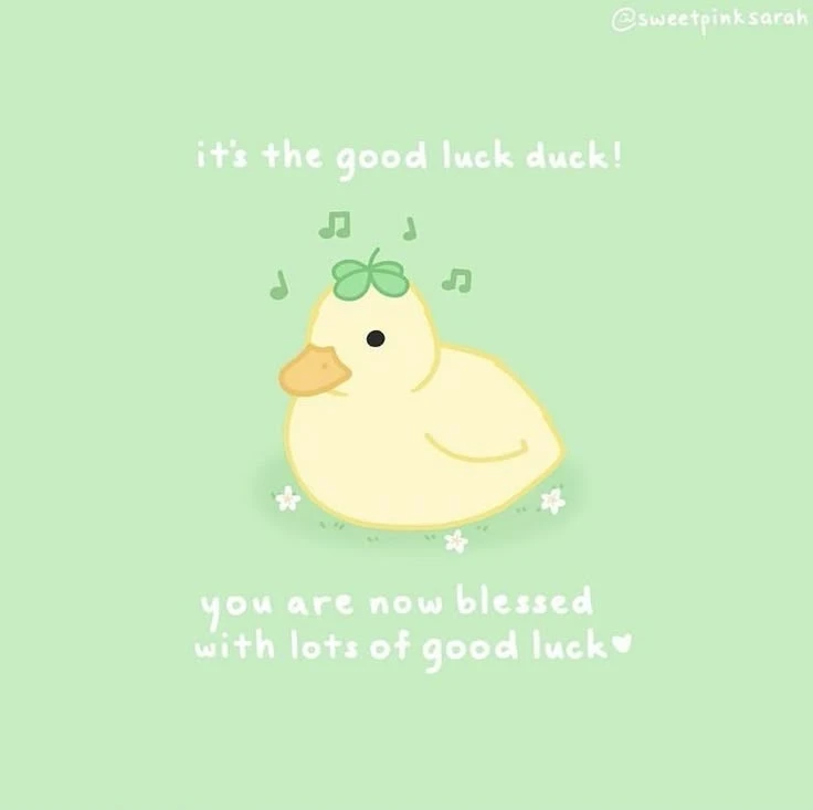 Image uploaded by Aida