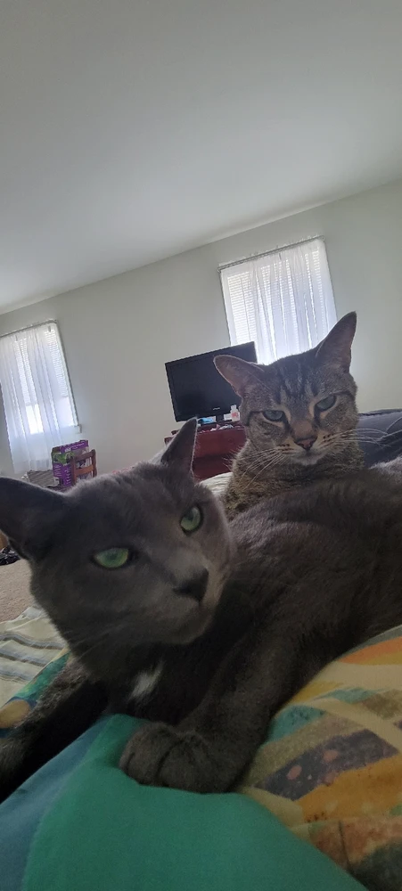 Image uploaded by Em