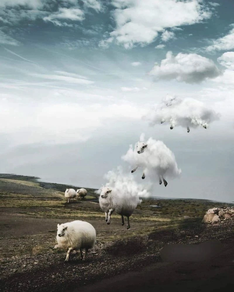 Image uploaded by Edwin Presa
