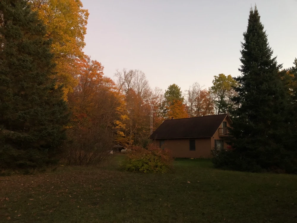 Image uploaded by Troy