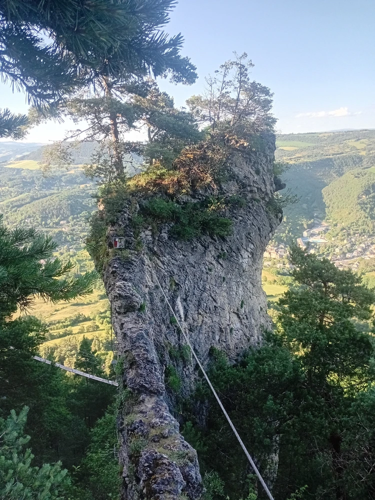 Image uploaded by Jérôme