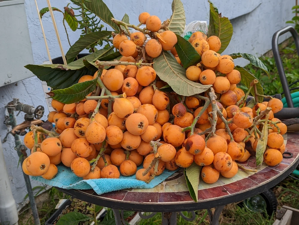 Image uploaded by Sky