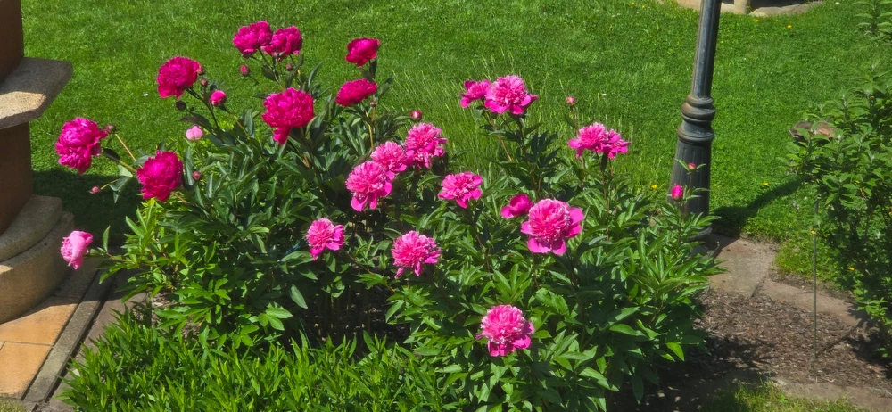 Image uploaded by Don