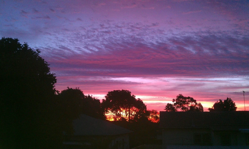 Image uploaded by TJ