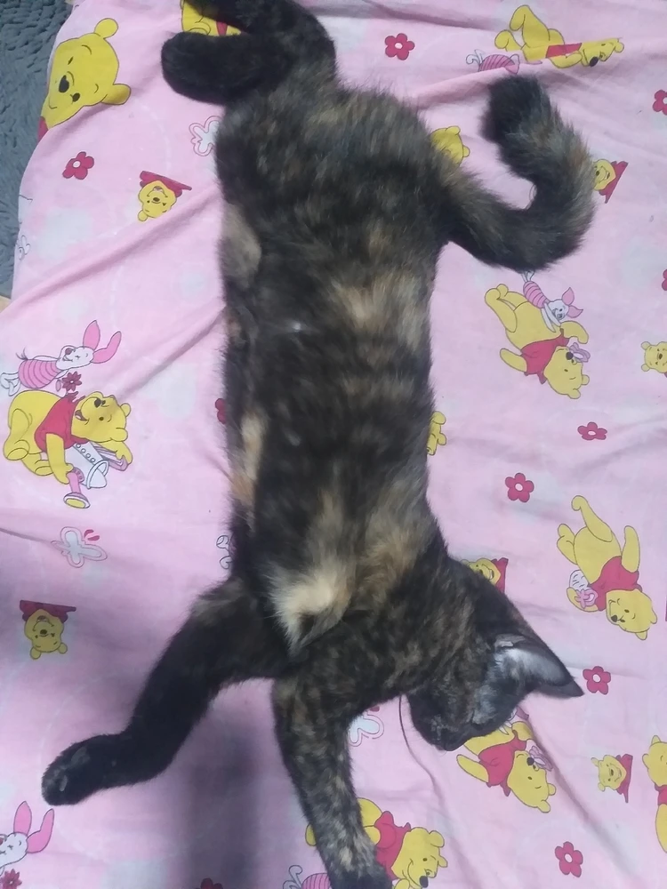 Image uploaded by Midah