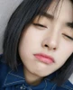 Duab profile ntawm Bunny