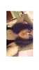 Profile picture of vane