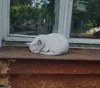Profile picture of Мила