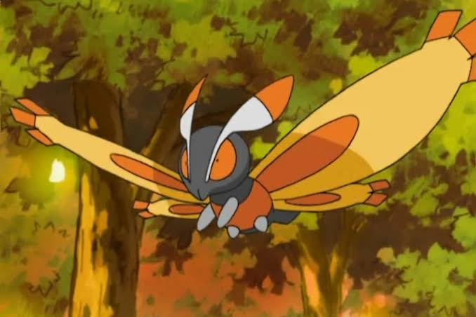 Profile picture of Mothim (Gamale)