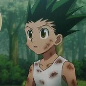 Gon Freecss (冈·弗利克斯) 的個人照片