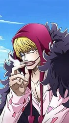 Donquixote Rosinante "Corazon"