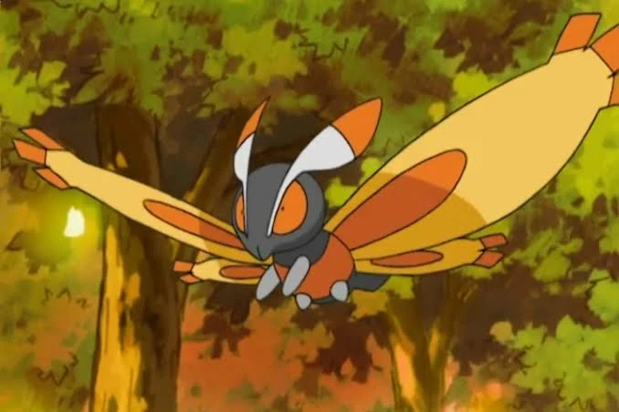 Profile picture of Mothim (Gamale)