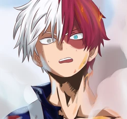 Shoto Todoroki